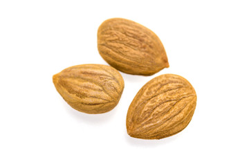 Apricot kernel / nuts isolated on white background.