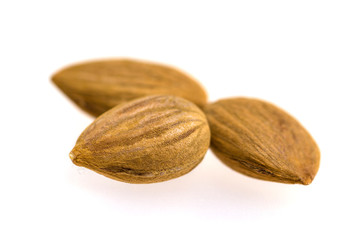 Apricot kernel / nuts isolated on white background.