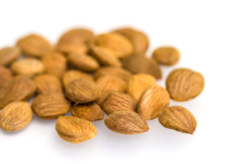 Apricot kernel / nuts isolated on white background.