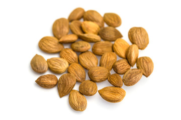 Apricot kernel / nuts isolated on white background.