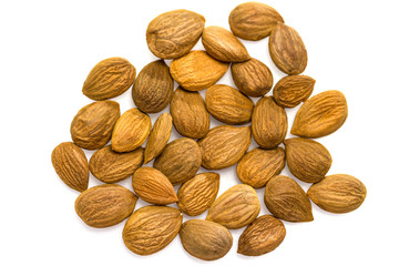 Apricot kernel / nuts isolated on white background.