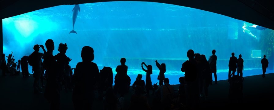 acquarium