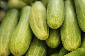 Fresh cucumber in the market