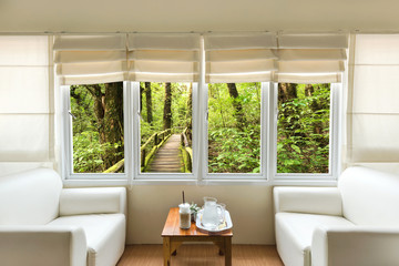 Living room with evergreen  forest