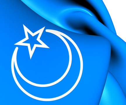 Flag of Second East Turkestan Republic
