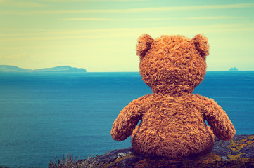 Lonely Teddy