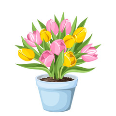Tulip flowers in a pot. Vector illustration.