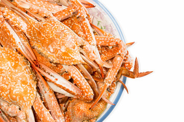 steamed crab boiled seafood