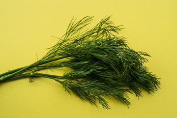 dill on yellow background, horizontal
