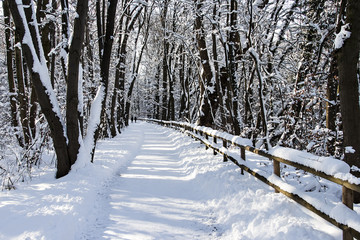 Walk along Isar