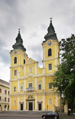 Fototapeta na wymiar Cathedral of St. Anne in Debrecen. Hungary