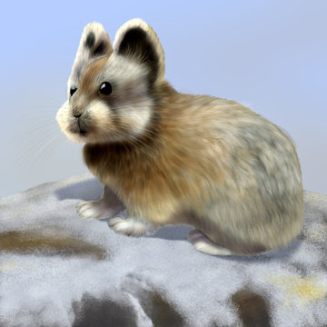 Ili pika