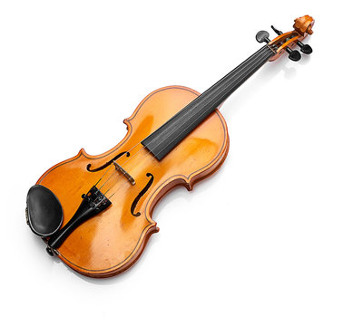 violin on white background
