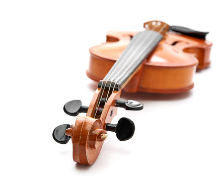 violin on white background