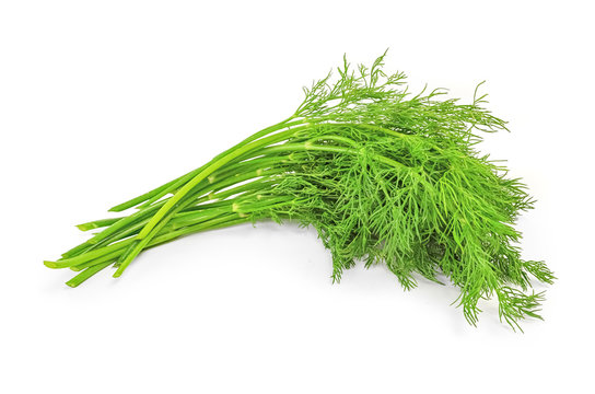 Dill herb closeup isolated on white background
