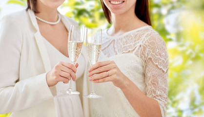 close up of lesbian couple with champagne glasses