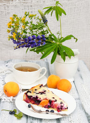 summer cake with fresh blueberries and apricots
