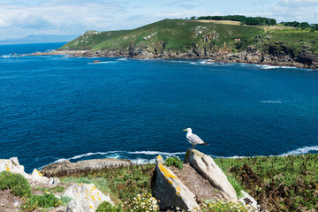 Ons Island in Galicia, Spain
