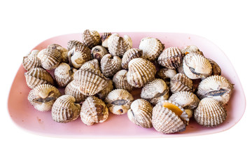 Grilled cockles, samui thailand