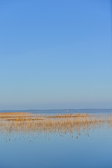 Morning at sunrise over Lake Biscarosse, France, Europe.