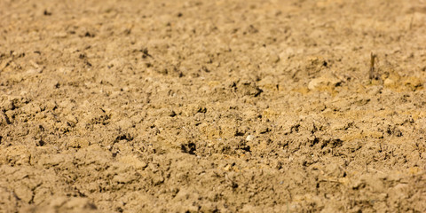 Agricultural land