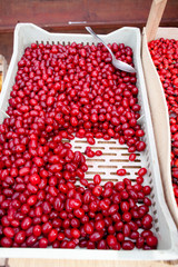 red hip in white plastic box at green market