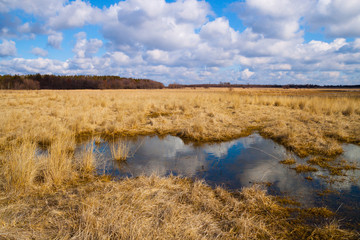 flooded meadows in early spring