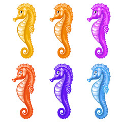 Sea horse