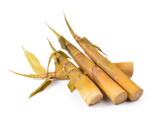 Bamboo shoot on white background