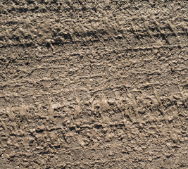 Trace Tire on muddy road.