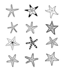Starfishes set .hand drawn Vector Illustration