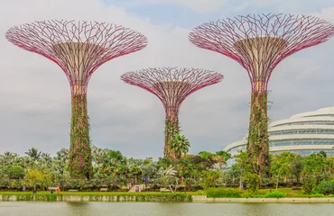 Rolgordijnen Singapore Supertrees © SvetlanaSF