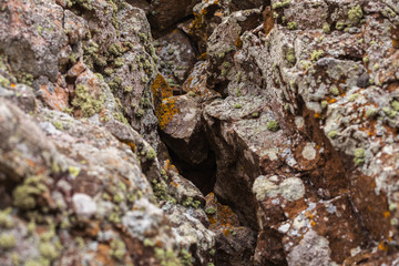 natural colored pattern on a single stone with moss and fungus w