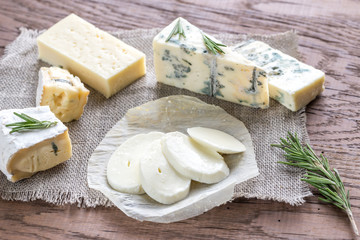 Various types of cheese
