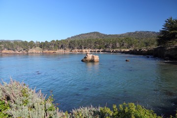 Point Lobos State Reserve in California