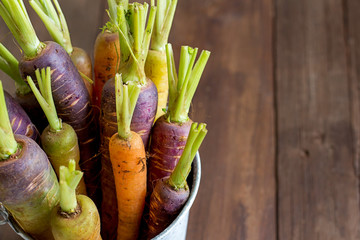 Fresh organic rainbow carrots