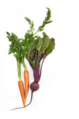Fresh carrot and beetroot bunch
