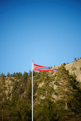 Norwegian pennant on a pole with copy space