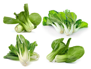 Bok choy (chinese cabbage or Qing geng cai) isolated on white ba