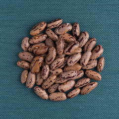 Circle of pinto beans