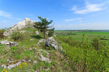 Limestone rocks in spring landscape of Poland near Ogrodzieniec