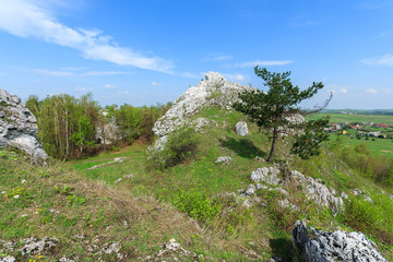 Fototapeta na wymiar Limestone rocks in spring landscape of Poland near Ogrodzieniec
