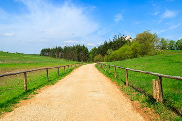 Fototapeta na wymiar Road in green spring landscape of Poland near Mirow castle