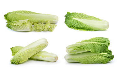fresh chinese cabbage on a white background