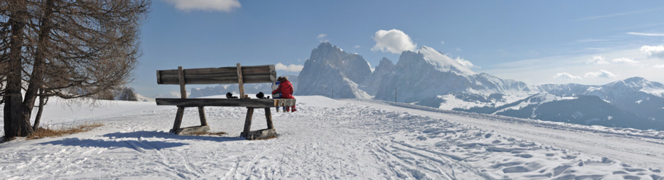 il panorama dei giganti