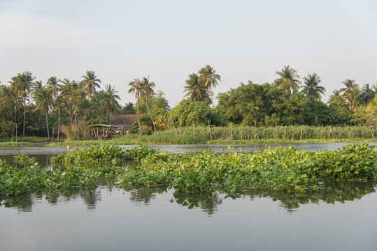 river  landscape