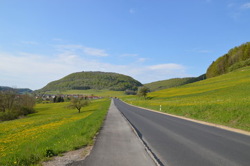 Fototapeta na wymiar Frühling, Berge, Blumen