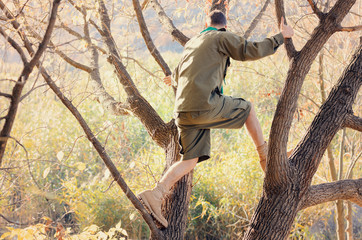 Portrait of Boy Scout Standing in Tree