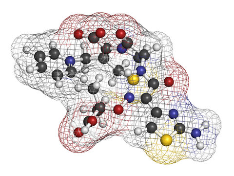 Ceftazidime cephalosporin antibiotic drug molecule. 