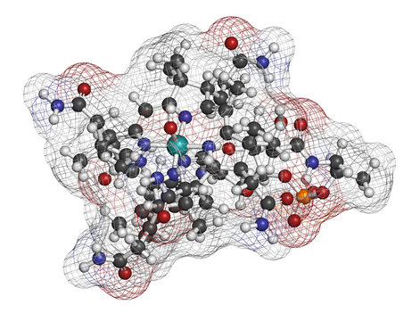 Hydroxocobalamin vitamin B12 molecule. 